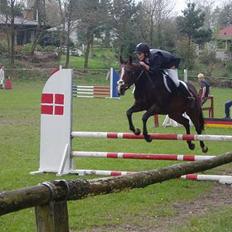 DSP Skovlysts Bolette *Solgt*