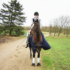 DSP Skovlysts Bolette *Solgt*