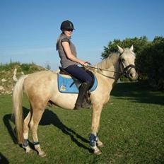 Anden særlig race golden hero SOLGT :'( <3 