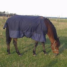 New Forest Moorland's Rondale *Død*