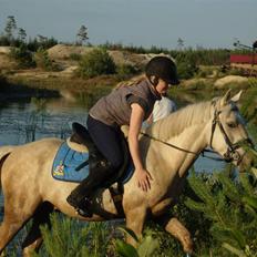 Anden særlig race golden hero SOLGT :'( <3 