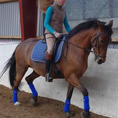 Anden særlig race Bøgelunds Zarina Udlånt