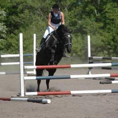 Oldenborg Kielstrupgårds MR. Malou 