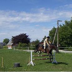 Oldenborg Kielstrupgårds MR. Malou 