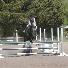 Oldenborg Kielstrupgårds MR. Malou 