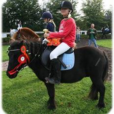 Anden særlig race Kalle