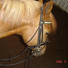 DSP Patricia*Solgt*Efterlyses