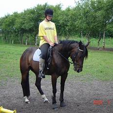 Traver Gassan Møllegård