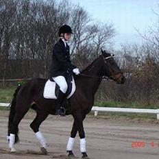 Traver Gassan Møllegård