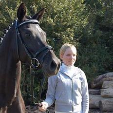 Tysk Sportspony Starlight <3 *Tøsen* *solgt*