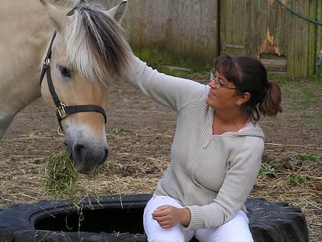 Fjordhest Skovvejens Tot - Er han ikke bare dejlig?? billede 12