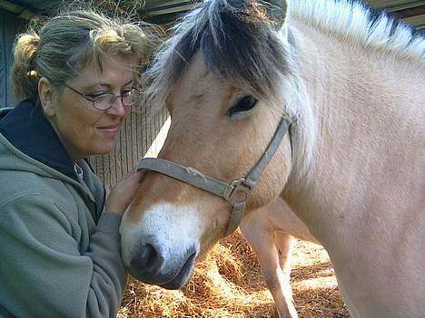 Fjordhest Mille - Mor og Mille. billede 9