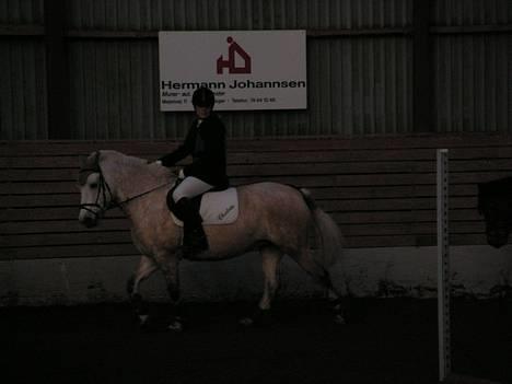 Anden særlig race Dunja - Dunja og mig til klub stævne  spring LD billede 14