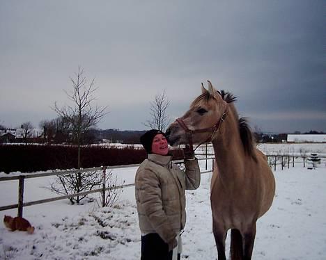 Anden særlig race Frydenhøjs Fini - Mig of Fini i sneen idag d. 7 jan 06 billede 6