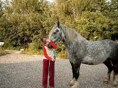 Tinker Silver - Elsker dig Silver <33 billede 8