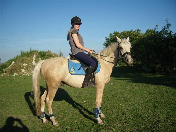 Anden særlig race golden hero SOLGT :'( <3  - da vi sku til at afsted på tur <3  billede 2