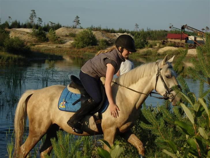 Anden særlig race golden hero SOLGT :'( <3  - i søen for første gang  billede 3