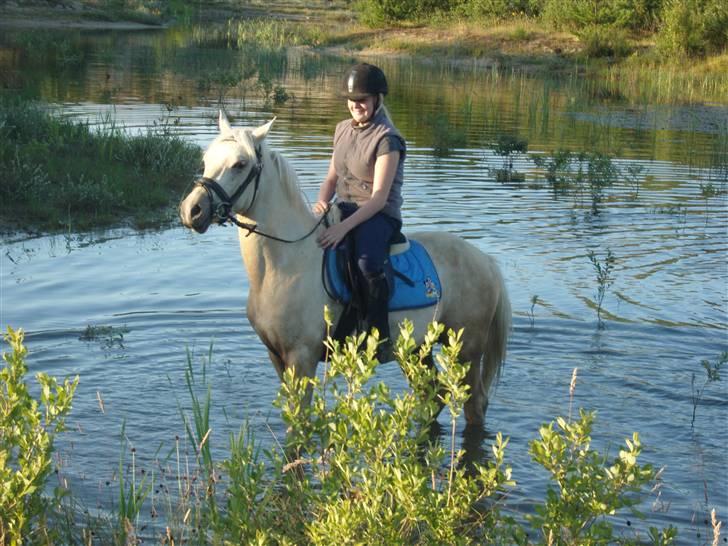 Anden særlig race golden hero SOLGT :'( <3  - den smukke første gang oppe i søen <3  billede 4