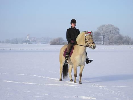 Fjordhest Bonnie af Landly. (SOLGT) - hvad skulle jeg noglesinde gøre uden dig <3 ? min - altid <3 billede 15