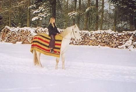 Connemara twiggi munkholm billede 12