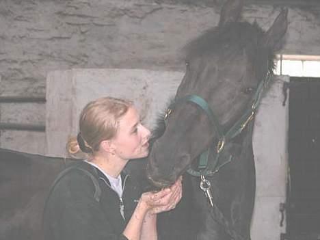 Anden særlig race Grande Benjamin O'nalli. billede 9