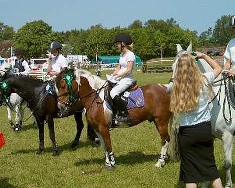 Anden særlig race Tex (Solgt) - Tex på Morsø med sin gamle ejer :) Han er og var en rigtig vinderpony :P billede 4