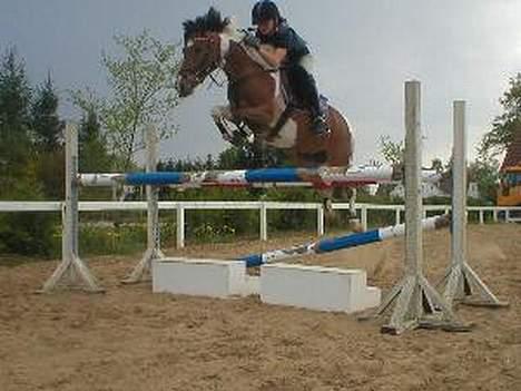 Anden særlig race Tex (Solgt) - Også 110 Med Stine .. :) billede 5