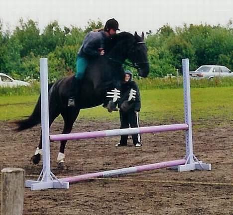 Anden særlig race Grande Benjamin O'nalli. - Min gamle veninde til bareback taget i år 1999. billede 12