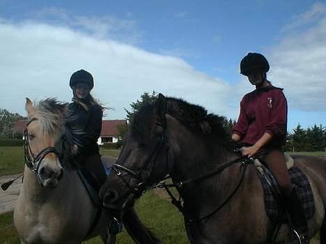 Anden særlig race Hannibal Aflivet 13/6 06 - Mig og min lillesøster på vores heste..:) billede 10