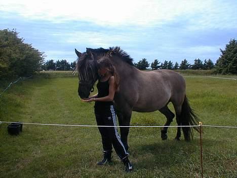 Anden særlig race Hannibal Aflivet 13/6 06 - Hannibal og mig... Sommer 2003 billede 12