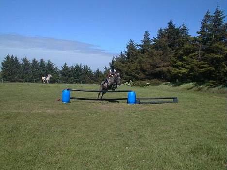 Anden særlig race Hannibal Aflivet 13/6 06 - Vi springer lige et lille spring.. billede 15