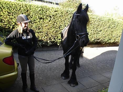 Frieser Gayke van Stal Zwanenven - Hjemme på besøg hvor vi boede før billede 19