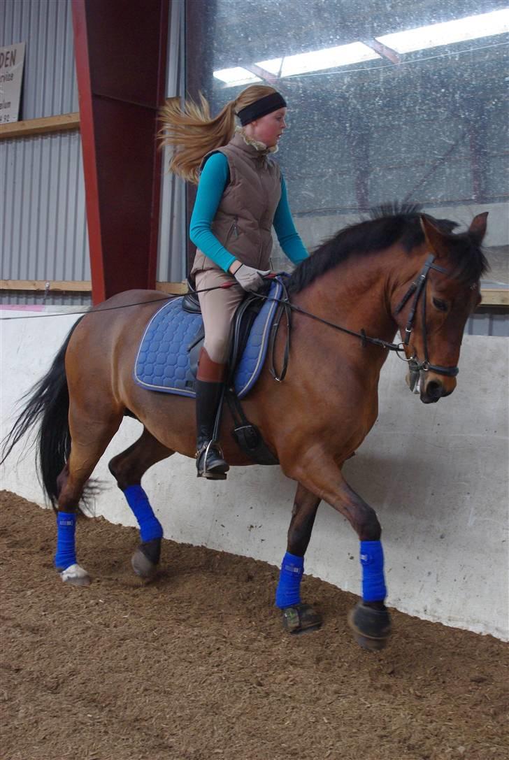 Anden særlig race Bøgelunds Zarina Udlånt - Velkommen til Zarinas profil :) du er velkommen til at skrive og spørge om ting og komme med en kommentar osv.  billede 1