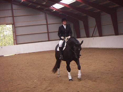 Oldenborg Kielstrupgårds MR. Malou  - til vores første stævne billede 6