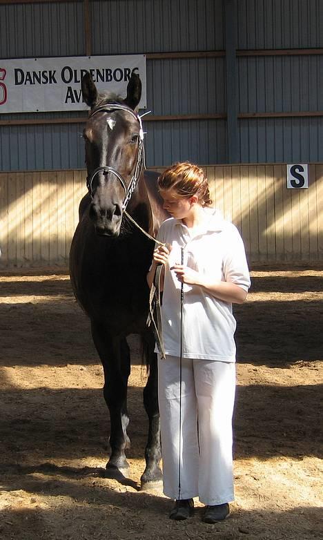 Oldenborg Bessie af Bækkeskov - Fra d. 31. juli 2005 - Endnu et pletskud af Bessie til følskuet med Cleo. billede 16