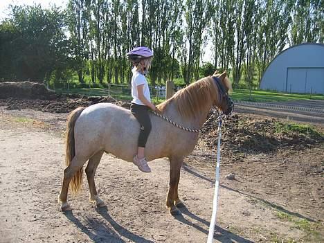Anden særlig race Rasmus - Jeg har Mie på ryggen. Hun har en ualmindelig god balance - det er nødvendigt når man er tønderytter ;-D billede 15