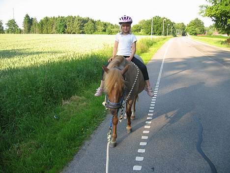 Anden særlig race Rasmus - På Torslundevej med Mie billede 16