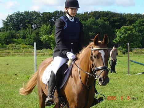 DSP Patricia*Solgt*Efterlyses - Vores første stævne..  billede 2