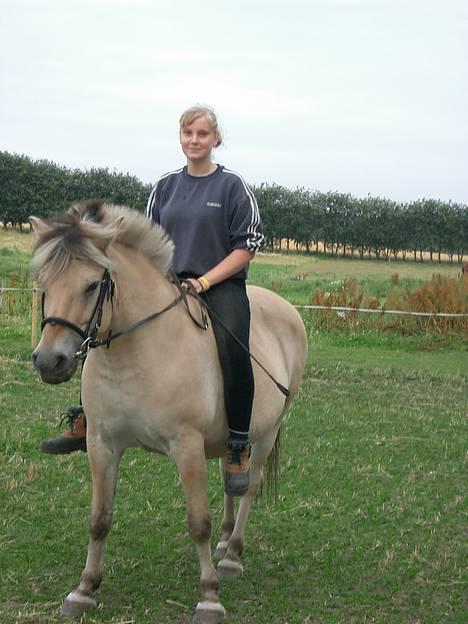 Fjordhest Freja †RIP 23/11-2010 - 2006 billede 13