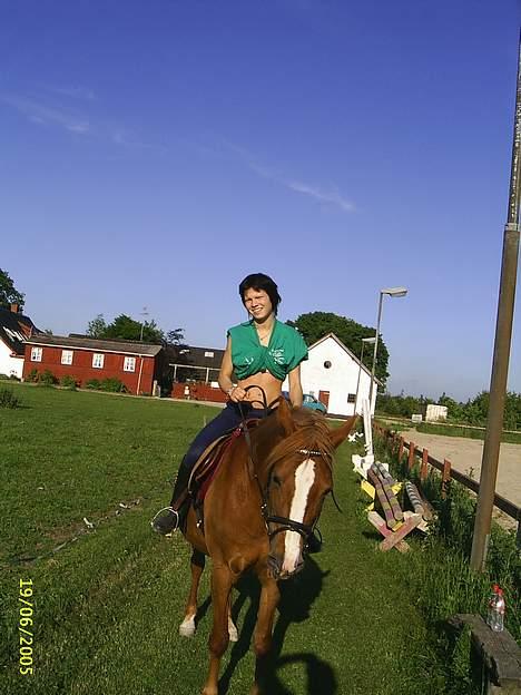 Sportsaraber (A) BeautY - Hehe red en lille tur på hende. .  med hendes nye underlag og sadel. .  billede 10