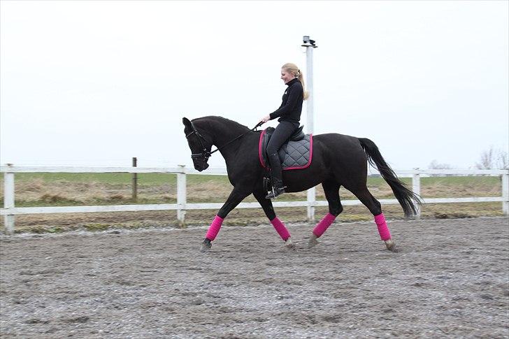 Tysk Sportspony Starlight <3 *Tøsen* *solgt* - nååå min smukke tøs:) billede 3