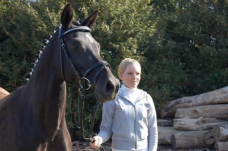 Tysk Sportspony Starlight <3 *Tøsen* *solgt* - 23. september billede 2