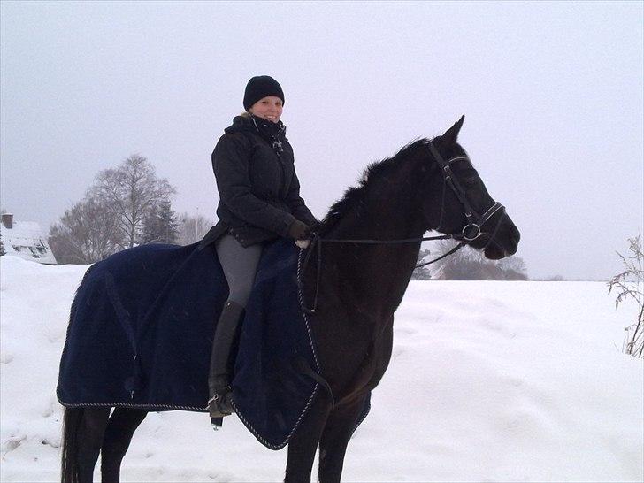 Tysk Sportspony Starlight <3 *Tøsen* *solgt* - nyt=) billede 5
