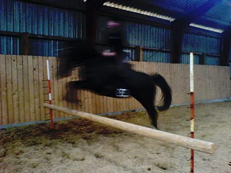 Tysk Sportspony Starlight <3 *Tøsen* *solgt* - ved godt det er meget mørk men sys det er fedt nok:) billede 6