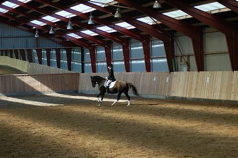 Tysk Sportspony Starlight <3 *Tøsen* *solgt* - tøsen i galop. 23. september 06 billede 7