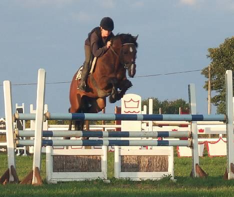 Tysk Sportspony Chemin De Royal  - Chemin - undervisning 23/8 - 06 billede 9