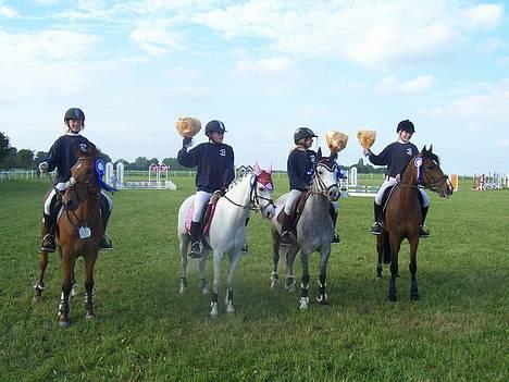 Tysk Sportspony Chemin De Royal  - Hele vores KELLERUP hold <3 billede 11