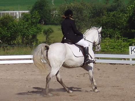 DSP | Melissa billede 10