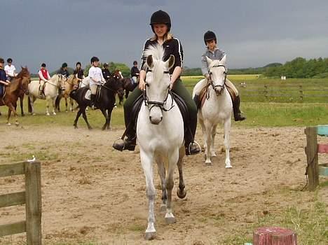 DSP | Melissa billede 12