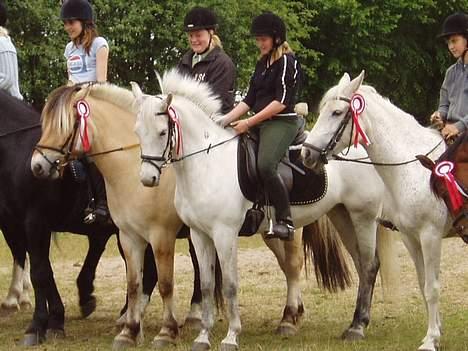 DSP | Melissa billede 13